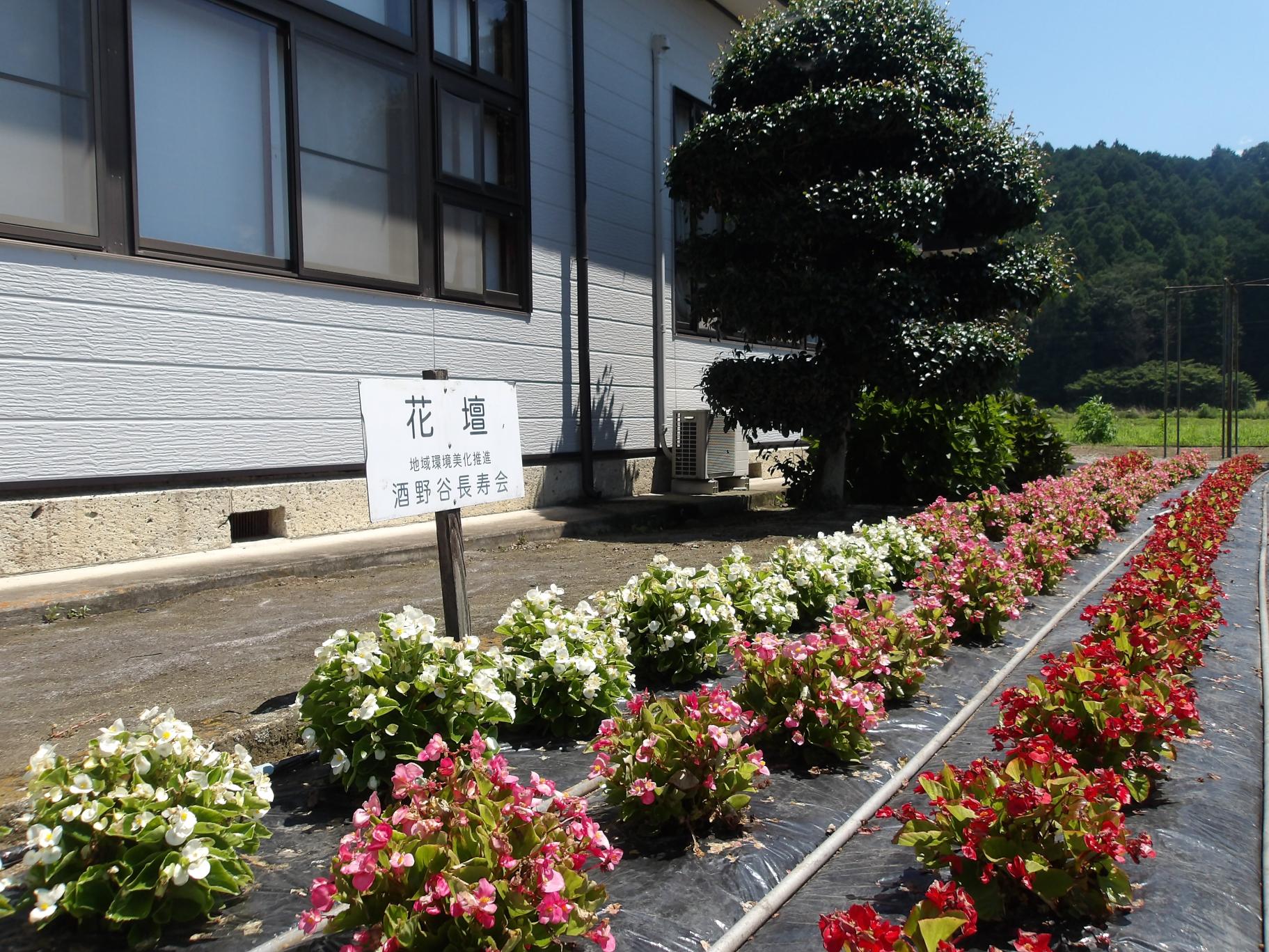 花いっぱい運動