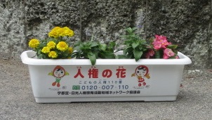 人権の花（プランター）