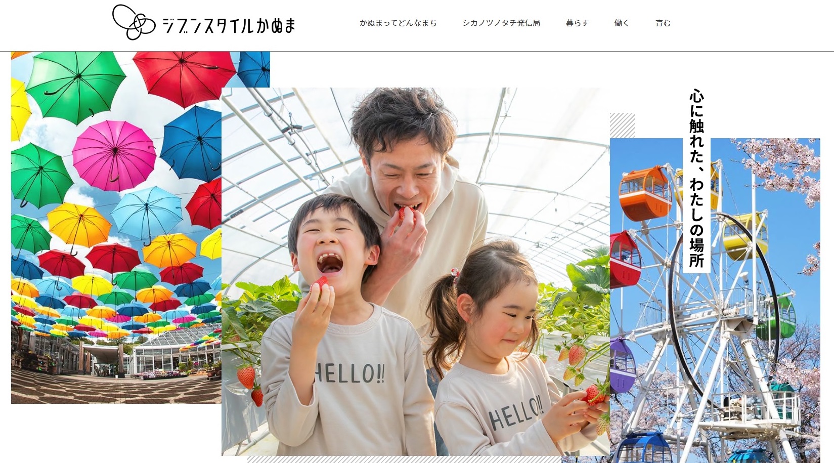 60875961f37b8