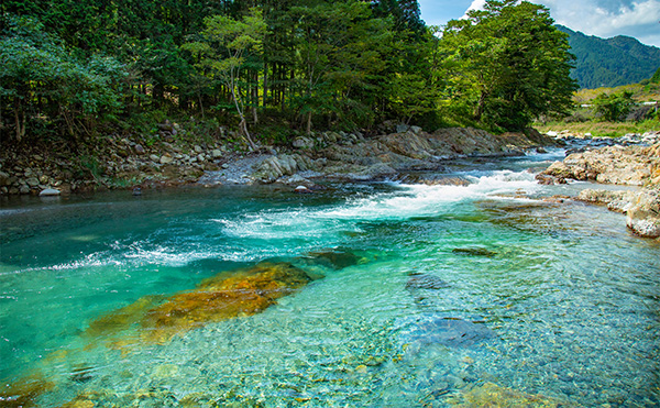 西北部エリアの動画